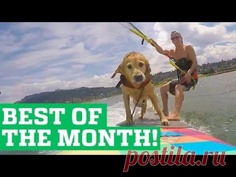 PEOPLE ARE AWESOME | BEST OF THE MONTH (SEPTEMBER 2015) - YouTube
