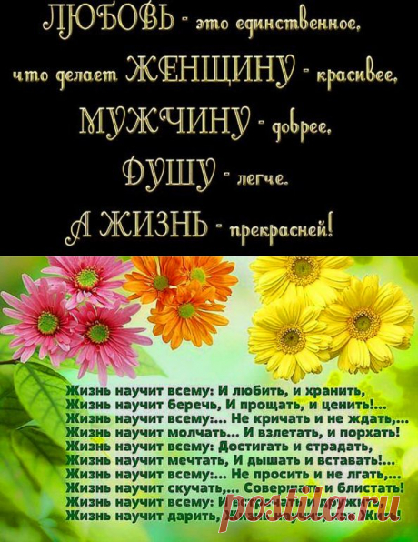 Одноклассники