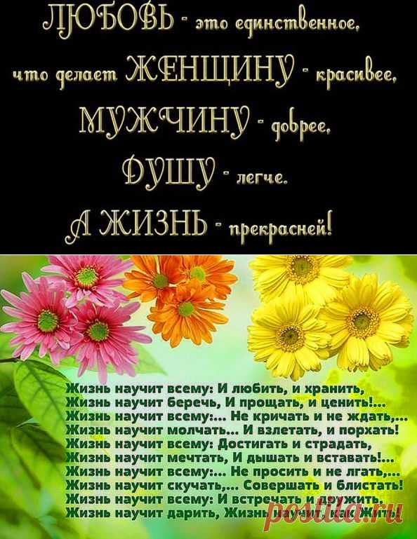 Одноклассники