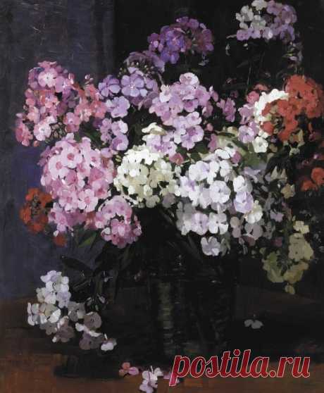 Художник Герберт Рихтер (Herbert Davis Richter, 1874-1955).
"Флоксы в интерьере"