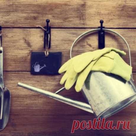 Новости - МирТесен