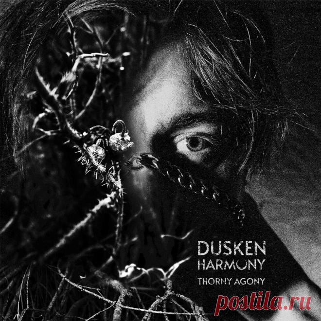 Dusken Harmony - Thorny Agony (2025) 320kbps / FLAC