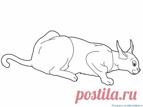 Распечатать раскраску на принтере. Раскраски для детей :: Все для детей. Детские ресурсы