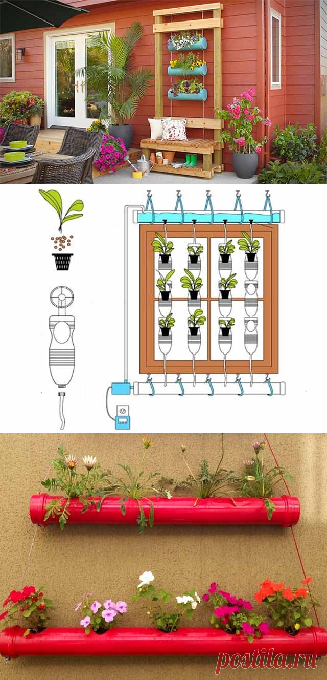 Вертикальное озеленение своими руками: 20 фото и схемы