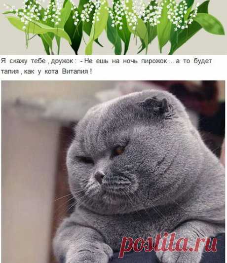 Одноклассники