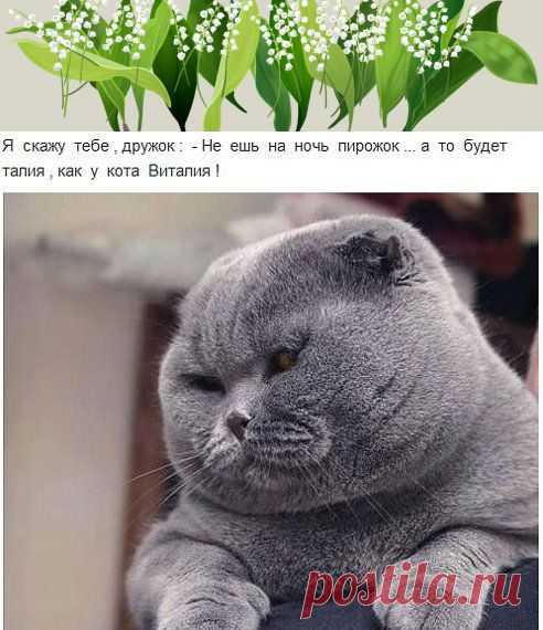 Одноклассники