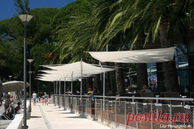 Tivat