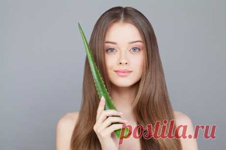 Эффективные маски из алоэ для лица от морщин — Рецепты красоты