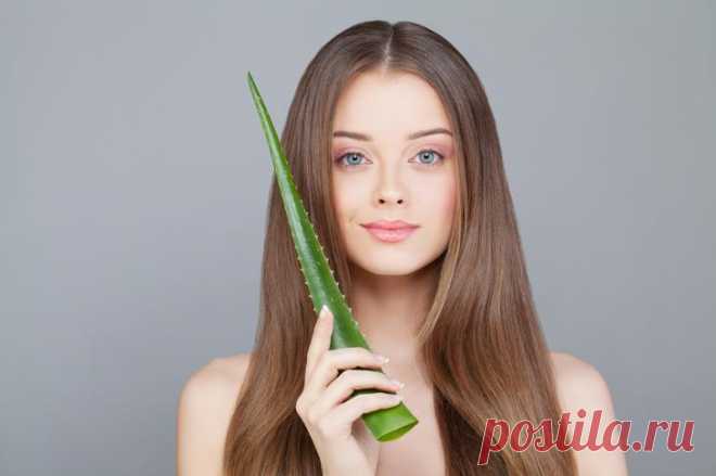 Эффективные маски из алоэ для лица от морщин — Рецепты красоты