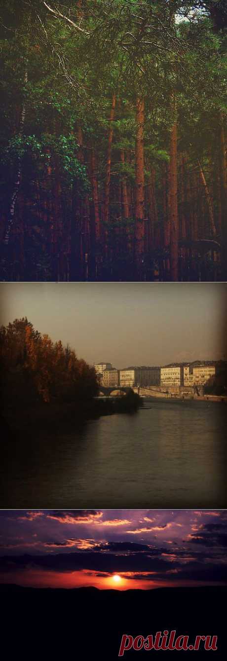 Фото и рисунки, арт и креативная реклама