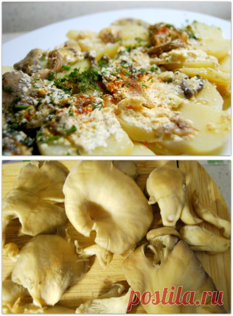 Вёшенки с чесноком и сметаной