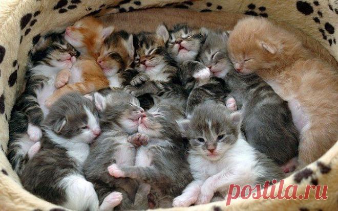 ❁⁀ ♥ ⁀✿ ✫ℒℴνℯ✫ ❁⁀ ♥ ⁀✿