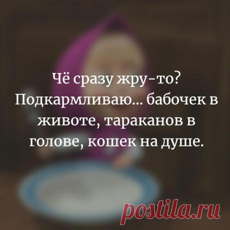 Без комментария