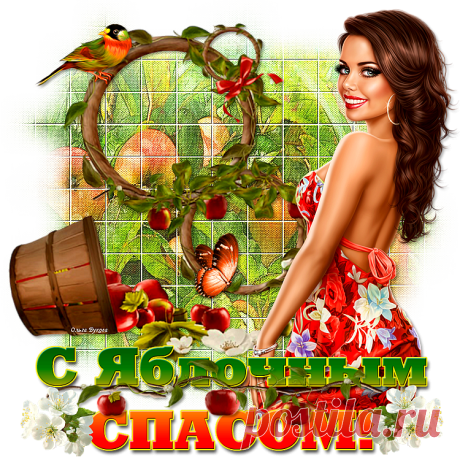 2376 "С яблочным спасом"
