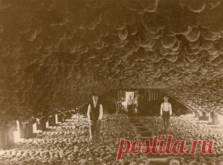 В чреве чудовища — National Geographic Россия