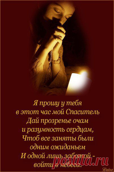 Новые фотографии