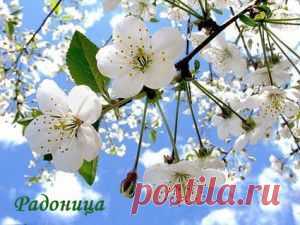 Скоро РАДОНИЦА
