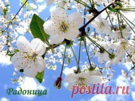 Скоро РАДОНИЦА