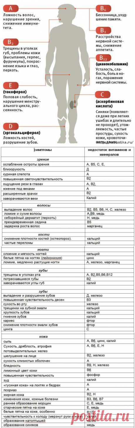 Узнайте, каких витаминов вам не хватает - простой тест » Женский Мир