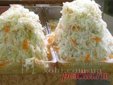 капуста белокочанная, квашенная с морковью &raquo; Домашняя кулинария и ручная работа