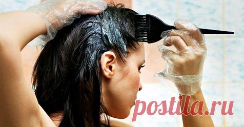 Мощный натуральный краситель сделает ваши волосы яркими и блестящими! А также остановит выпадение волос! 6 супер эффективных масок для шикарного цвета и блеска волос!  Всем известно, что женщины часто меняют свой цвет волос и прическу.И обычно им нравится ходить в салон, чтобы...