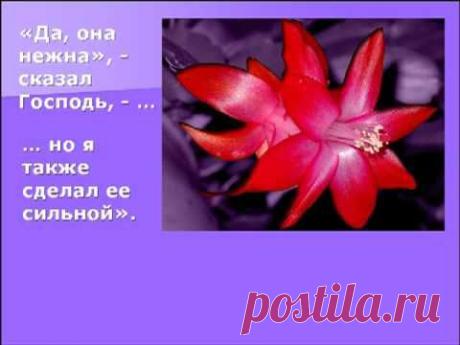 Клип посвященный женщине... - YouTube