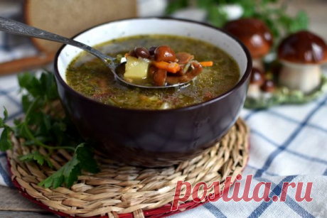Суп с грибами и красной фасолью - пошаговый рецепт с фото на Повар.ру