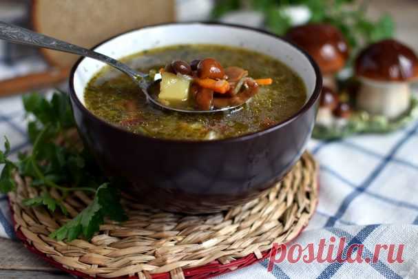 Суп с грибами и красной фасолью - пошаговый рецепт с фото на Повар.ру