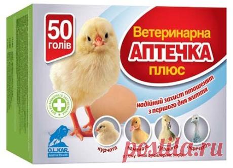 (83) Одноклассники