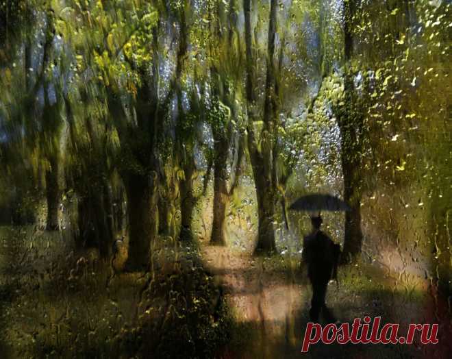 35PHOTO - Marzena Wieczorek - In the rain