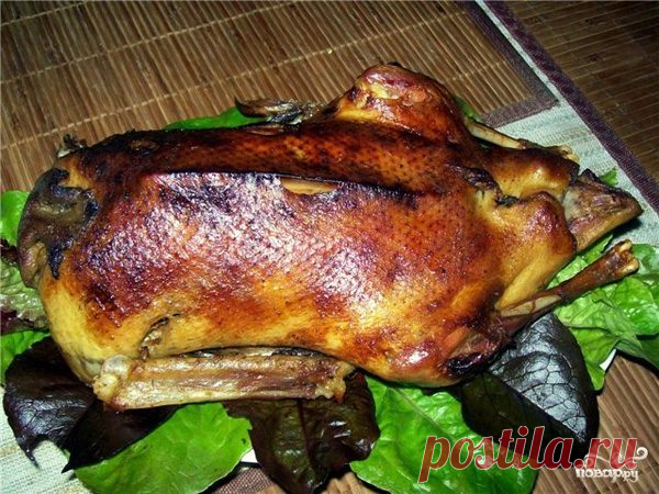 Гусь с яблоками в рукаве - рецепт с фото на Повар.ру