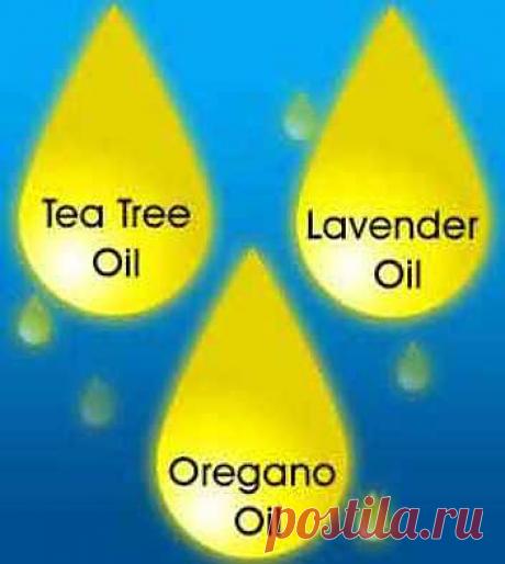 Как лечить угревую сыпь ─ эфирные масла