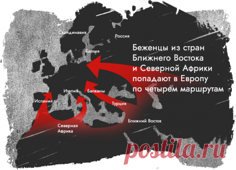Свои и чужие