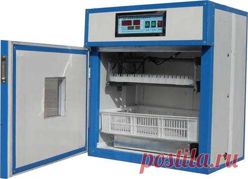 Want to increase the egg production in a faster and productive way? Checkout three sizes of Hightop egg incubator for for hatching eggs, get yours!
