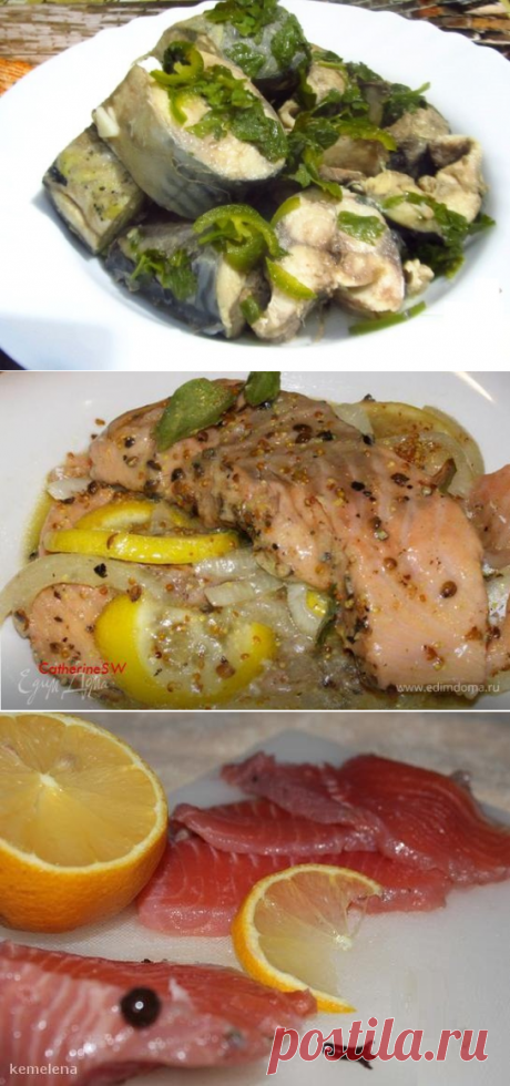 Три вкусных рецепта маринованной рыбы » Женский Мир