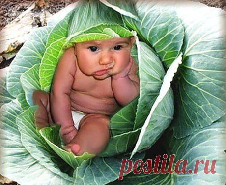 Фотографии на стене сообщества | 32 828 фотографий
