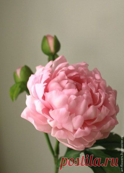 (1799) Pinterest