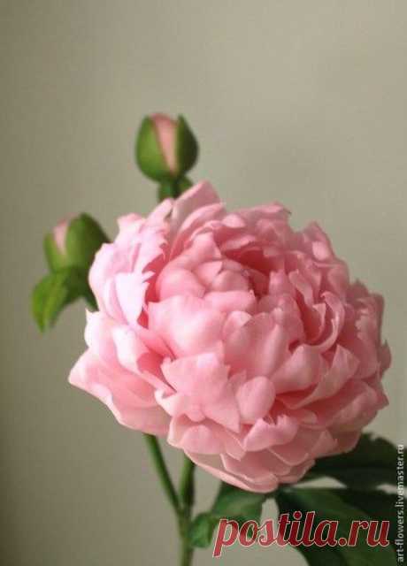 (1799) Pinterest