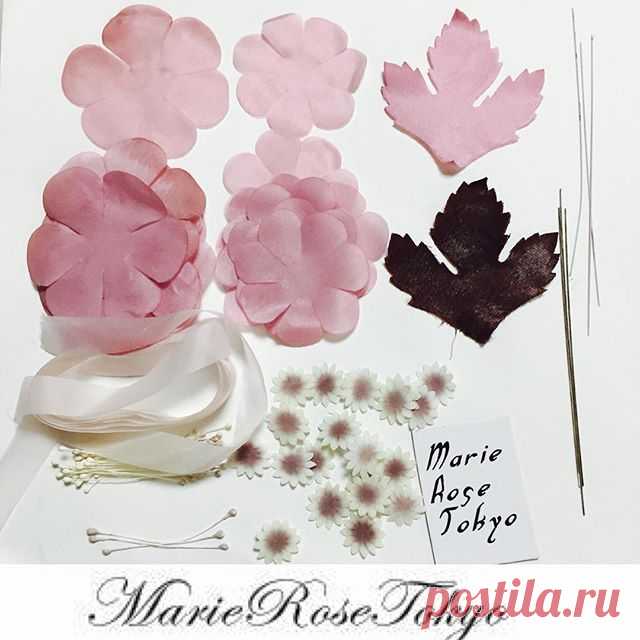 marie_rose_tokyo • View Yoko Asai🌺 ( @marie_rose_tokyo )'s Instagram Account