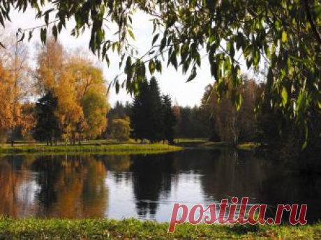 Павловский парк — Википедия