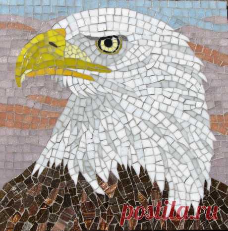 Bald Eagle Mosaic Grouted. Made in honor of the bald eagle I saw sitting in an oak tree at the park last December.  The crows were not happy about it!  Vitreous glass on acrylic, 12' x 12"