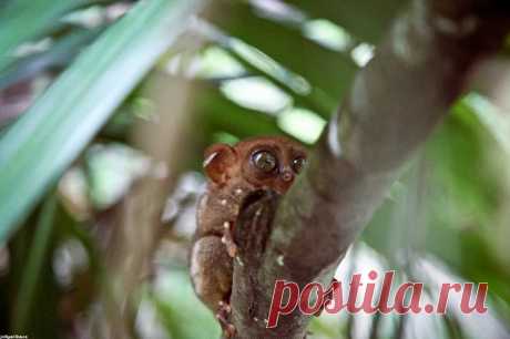 &quot;Бро, я видел жизнь!&quot; / Репортажи / Моя Планета