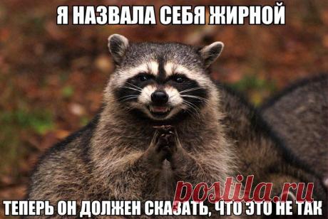 Диалоги