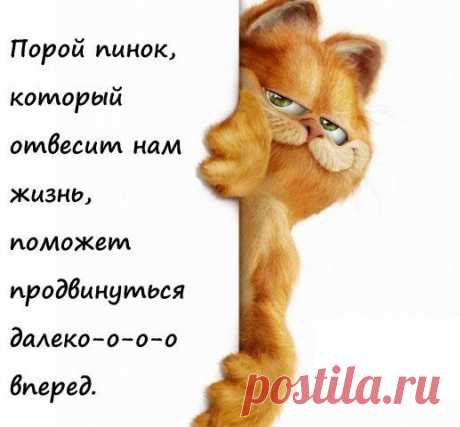 Интересные новости