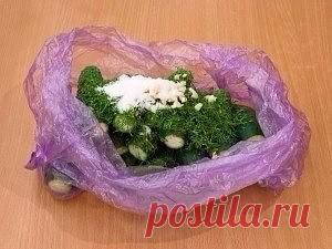 Малосольные огурцы без рассола

Огурчики получились очень вкусные! Хрустящие, ароматные, красивые! Люси, спасибо большое за рецепт! Эти потрясающие огурчики готовятся очень просто и быстро. Получаются невероятно ароматными и хрустящими. Очень вкусно подать их к картофельному пюре или к отварному молодому картофелю.

Ингредиенты:

1 кг огурцов (маленьких)
1 столовая ложка соли
3–4 зубчика чеснока
укроп

Приготовление:

Шаг 1 Укроп мелко нарезать.
Шаг 2 Чеснок мелко порубить...