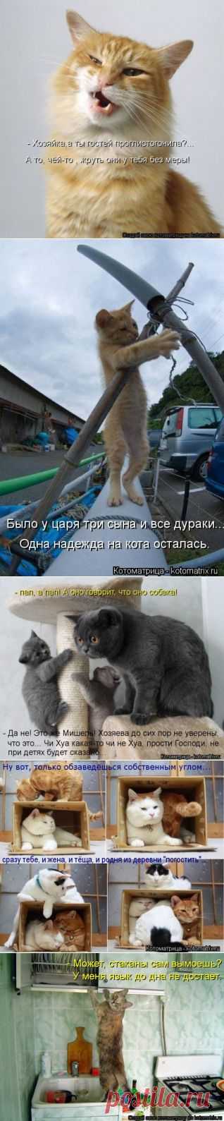 Юмор, позитифффчик на сон грядущий / Болталка / Юмор