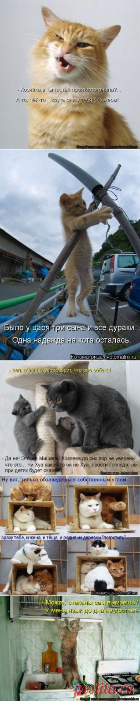 Юмор, позитифффчик на сон грядущий / Болталка / Юмор
