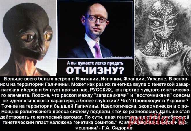 Тупик хунты. | ВПЕРЁД, РОССИЯ! Новостной патриотический сайт