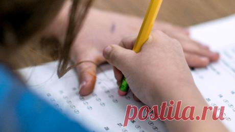 На успеваемость вашего ребенка влияют в первую очередь гены, а не интеллект | Краше Всех