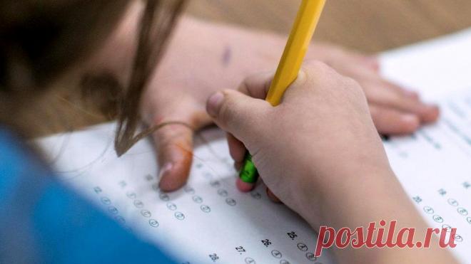 На успеваемость вашего ребенка влияют в первую очередь гены, а не интеллект | Краше Всех